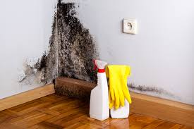 Best Basement Mold Removal  in Butler, AL